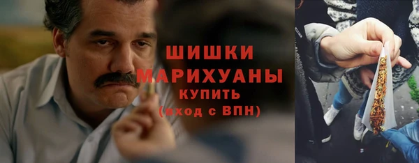 прущие грибы Пролетарск