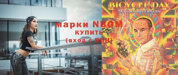 индика Армянск