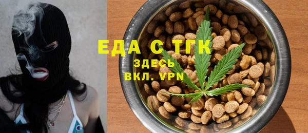 индика Армянск