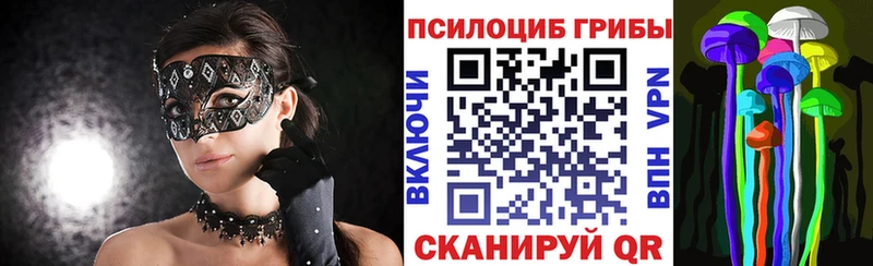 где можно купить наркотик  mega   Галлюциногенные грибы мицелий  Шелехов 